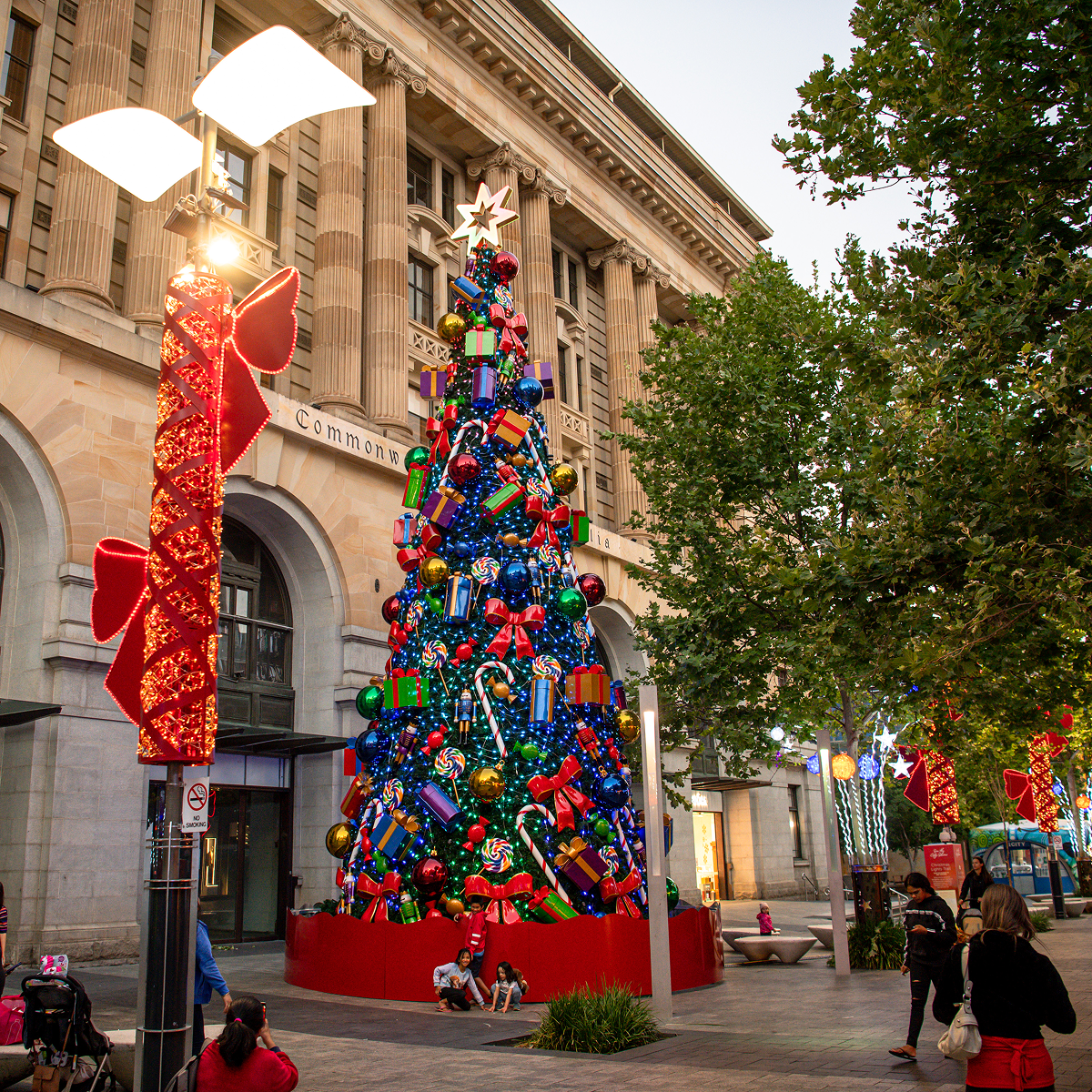 Auckland Tree