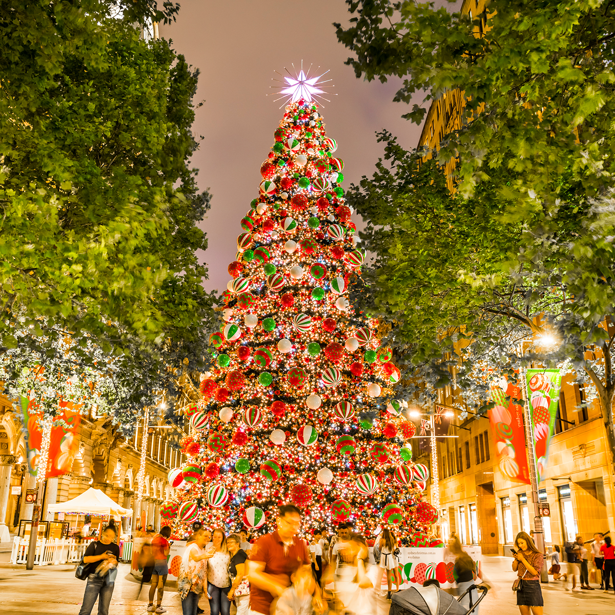 City of Sydney 25m Christmas Tree 1