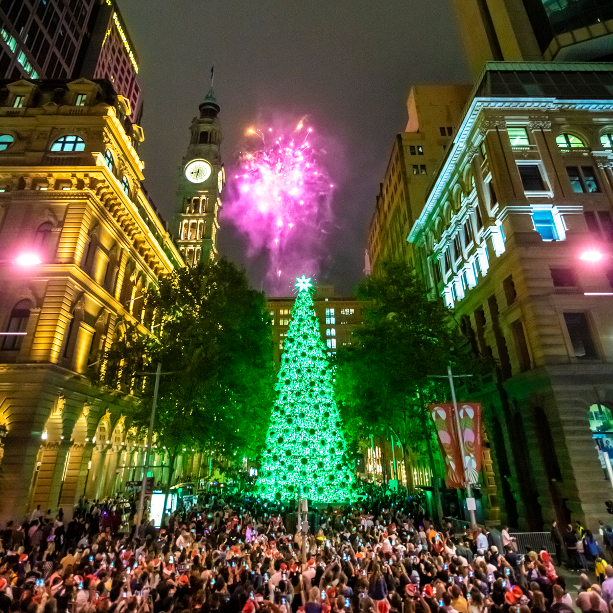 City of Sydney 25m Christmas Tree 2