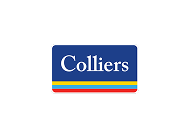 logo 13
